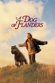 A Dog Of Flanders