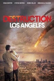 Destruction Los Angeles