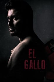 El Gallo